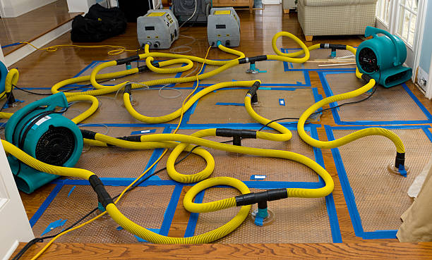 Professional Crawl Space Water Removal technician working in Richardsville, VA